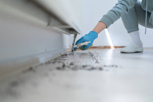 Best Best Pest Control Companies  in Burbank, CA
